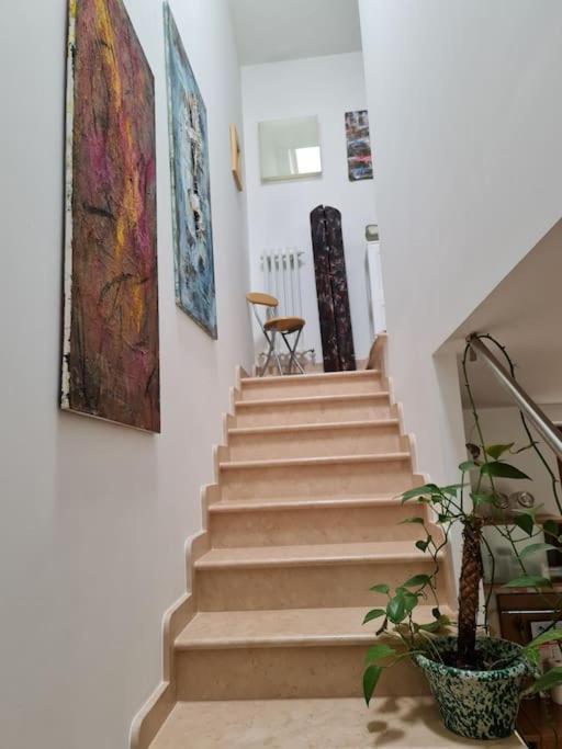 Scrigno Del Borgo-Intero Alloggio Montelupone Dış mekan fotoğraf